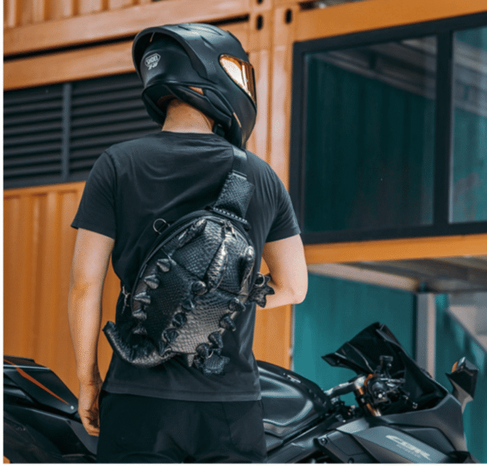sac a dos tortue moto
