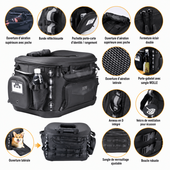 top case chien moto 2